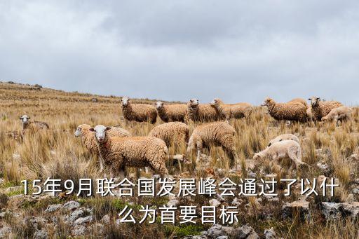 15年9月聯(lián)合國發(fā)展峰會通過了以什么為首要目標(biāo)