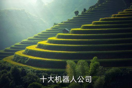 十大機(jī)器人公司
