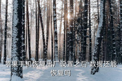 蘋(píng)果手機(jī)恢復(fù)出廠設(shè)置之后 數(shù)據(jù)還能恢復(fù)嗎