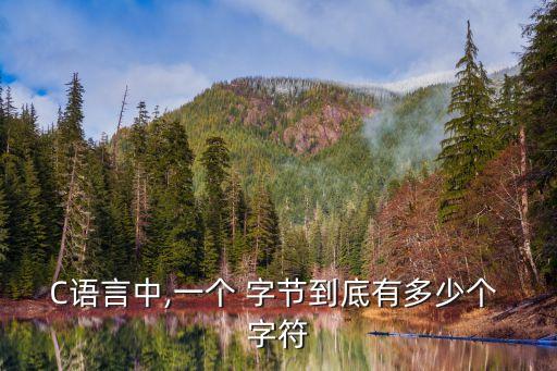 字符和字節(jié)