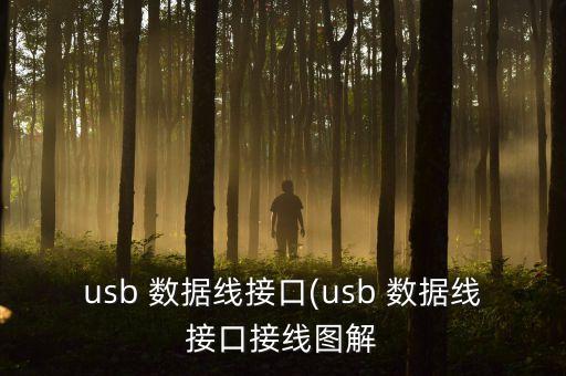 usb 數(shù)據(jù)線接口(usb 數(shù)據(jù)線接口接線圖解