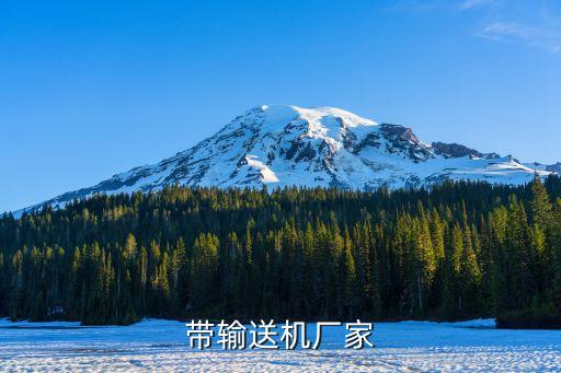四川自動(dòng)化輸送設(shè)備 科技,輸送機(jī)自動(dòng)輸送設(shè)備
