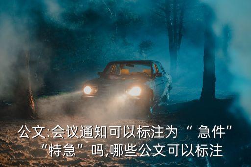 急件,有急件要送?可以標(biāo)注急件字樣!