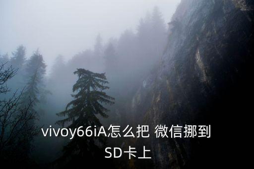 vivoy66iA怎么把 微信挪到 SD卡上