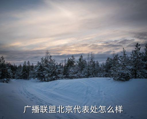 廣播聯(lián)盟北京代表處怎么樣