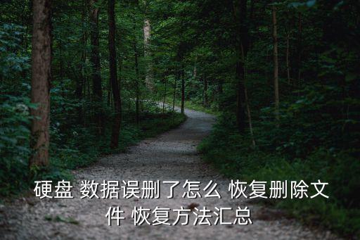  硬盤 數(shù)據(jù)誤刪了怎么 恢復(fù)刪除文件 恢復(fù)方法匯總