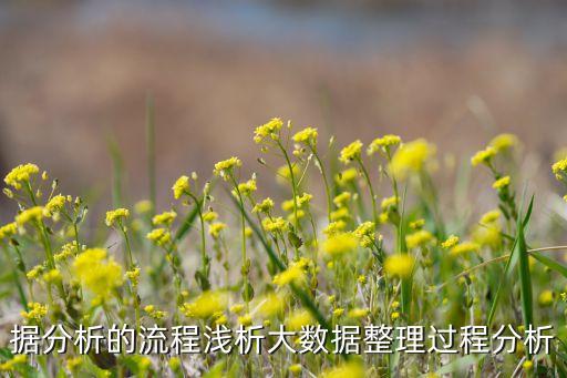 據(jù)分析的流程淺析大數(shù)據(jù)整理過程分析