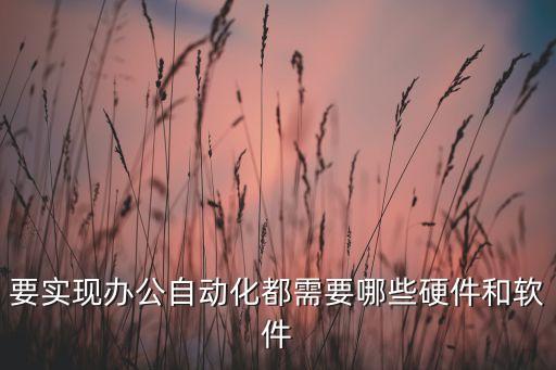 要實(shí)現(xiàn)辦公自動(dòng)化都需要哪些硬件和軟件