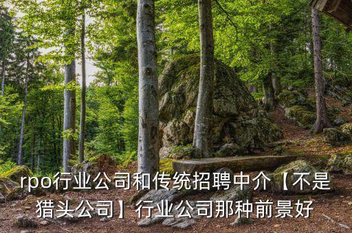 rpo行業(yè)公司和傳統(tǒng)招聘中介【不是獵頭公司】行業(yè)公司那種前景好