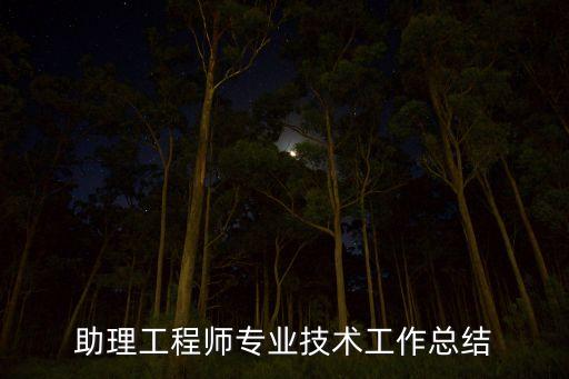 助理工程師專業(yè)技術(shù)工作總結(jié)