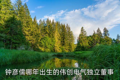 緯創(chuàng)自動化專業(yè)