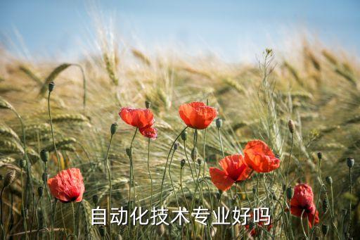 如何實現(xiàn)電氣自動化控制,電氣自動化控制網(wǎng)絡(luò)
