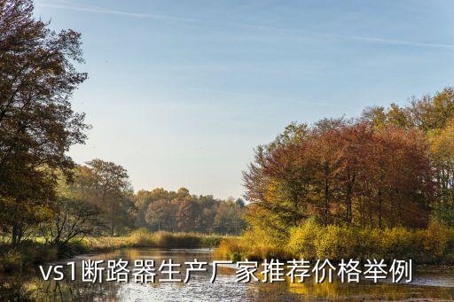 vs1斷路器生產(chǎn)廠(chǎng)家推薦價(jià)格舉例