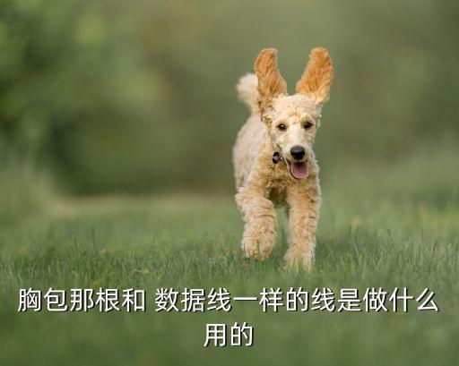胸包那根和 數(shù)據(jù)線一樣的線是做什么用的