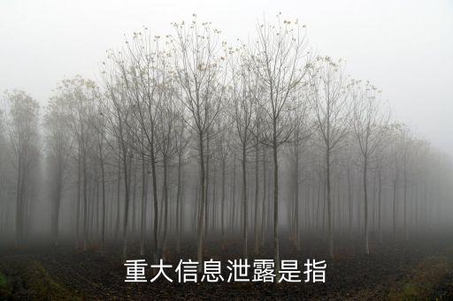 重大信息泄露是指