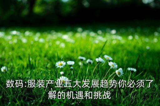 數(shù)碼:服裝產(chǎn)業(yè)五大發(fā)展趨勢你必須了解的機(jī)遇和挑戰(zhàn)