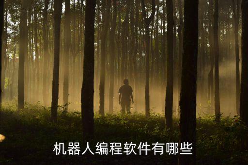 機(jī)器人編程軟件有哪些
