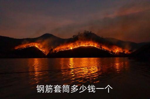 鋼筋套筒多少錢(qián)一個(gè)