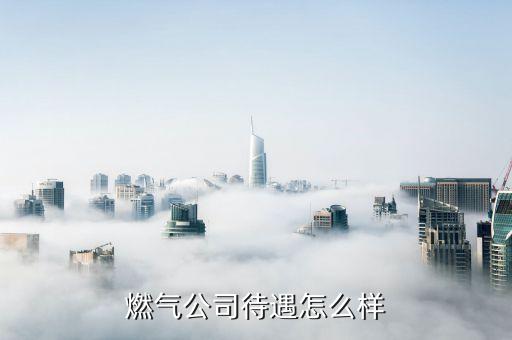 燃?xì)夤敬鲈趺礃? class=