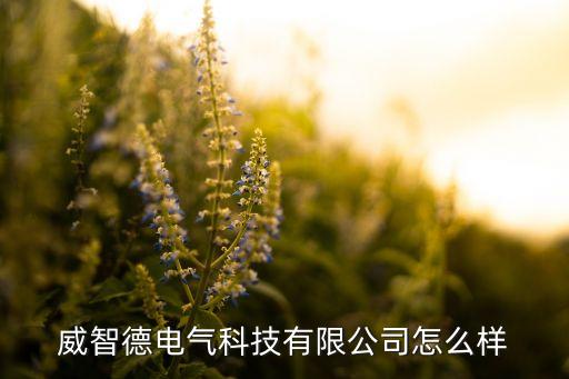 溫州威智自動(dòng)化設(shè)備,寧波智威自動(dòng)化