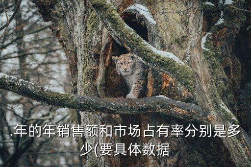 .年的年銷售額和市場(chǎng)占有率分別是多少(要具體數(shù)據(jù)