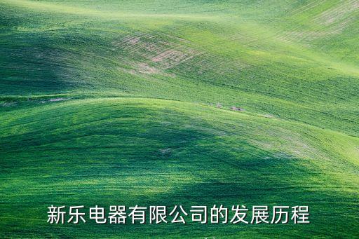 新樂電器有限公司的發(fā)展歷程