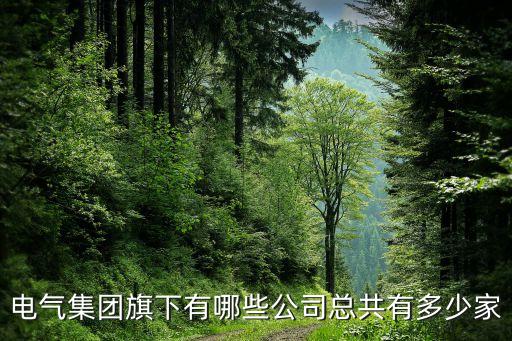 電氣集團旗下有哪些公司總共有多少家