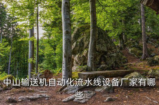 廣東搞自動化的公司多嗎,中山自動化公司
