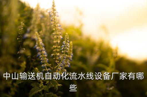 自動(dòng)化滾筒輸送機(jī)供貨公司,輸送機(jī)電動(dòng)滾筒