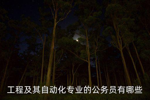 工程及其自動(dòng)化專業(yè)的公務(wù)員有哪些