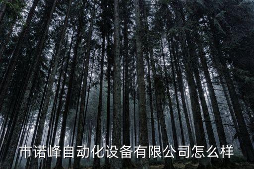 市諾峰自動(dòng)化設(shè)備有限公司怎么樣