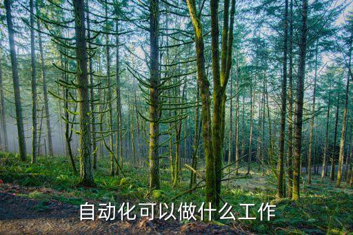 自動化可以做什么工作