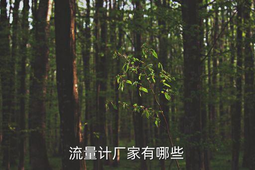 流量計廠家有哪些