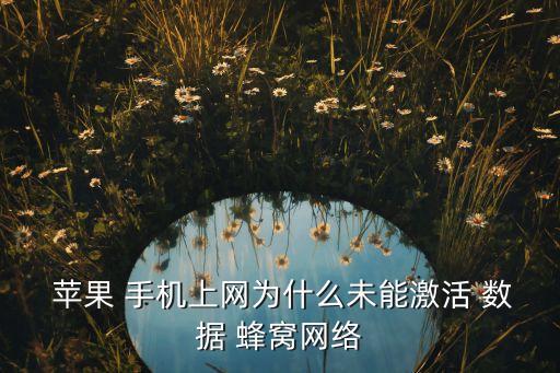  蘋果 手機上網為什么未能激活 數據 蜂窩網絡