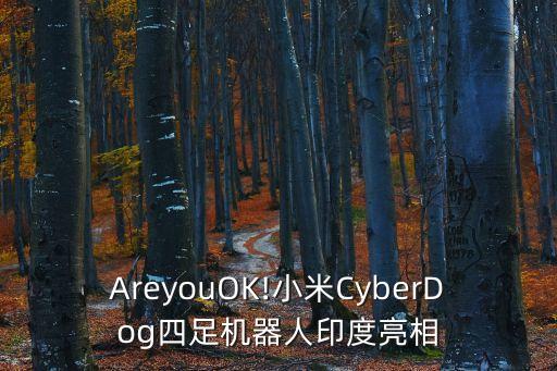 AreyouOK!小米CyberDog四足機(jī)器人印度亮相