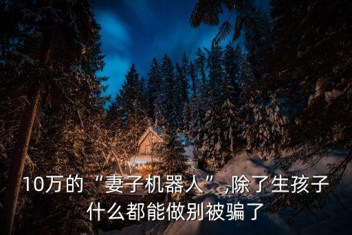 10萬的“妻子機(jī)器人”,除了生孩子什么都能做別被騙了