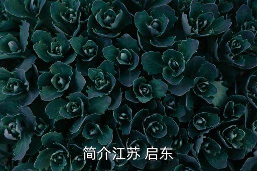 簡(jiǎn)介江蘇 啟東