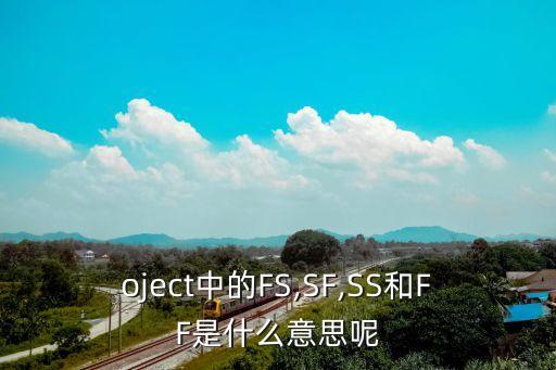 oject中的FS,SF,SS和FF是什么意思呢