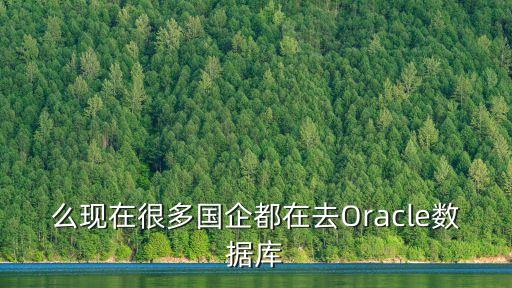 么現(xiàn)在很多國企都在去Oracle數(shù)據(jù)庫