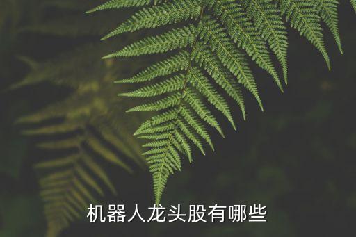 機(jī)器人龍頭股有哪些