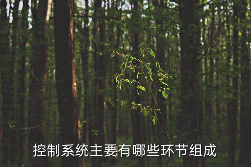 自動化控制系統(tǒng)電氣組成,電氣自動化控制系統(tǒng)概述
