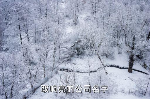自動化改裝怎么取公司名,工廠自動化改造找什么公司?