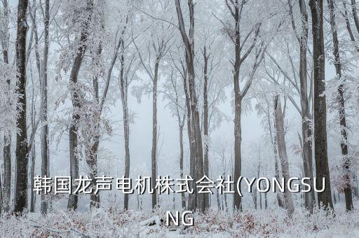 韓國龍聲電機(jī)株式會(huì)社(YONGSUNG
