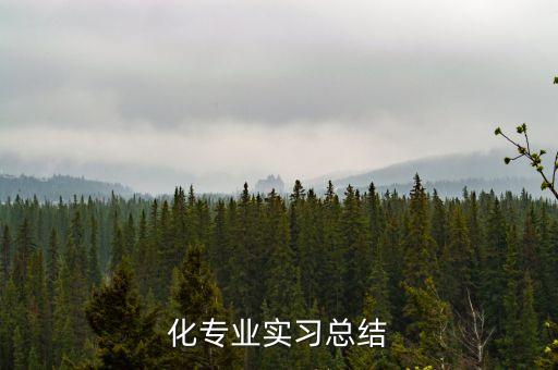 化專業(yè)實習(xí)總結(jié)