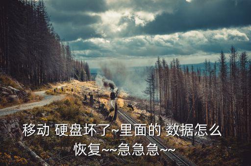 移動(dòng) 硬盤壞了~里面的 數(shù)據(jù)怎么 恢復(fù)~~急急急~~