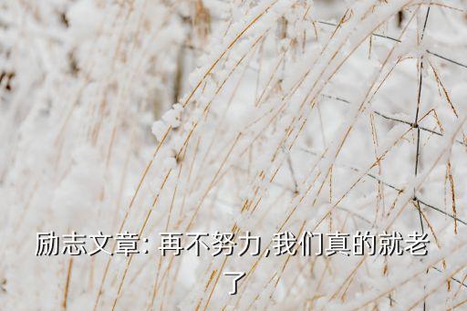 再不,再不青春,再不能說句-