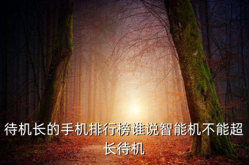 待機(jī)長(zhǎng)的手機(jī)排行榜誰(shuí)說(shuō)智能機(jī)不能超長(zhǎng)待機(jī)