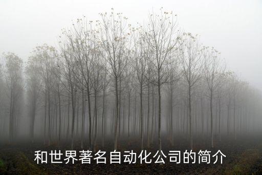 武漢工業(yè)自動(dòng)化公司有哪些,工業(yè)自動(dòng)化公司有哪些?