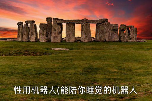 性用機(jī)器人(能陪你睡覺(jué)的機(jī)器人