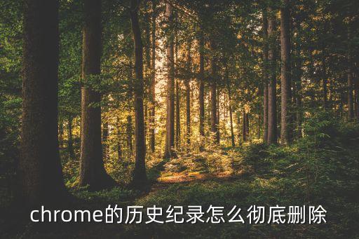 chrome的歷史紀(jì)錄怎么徹底刪除